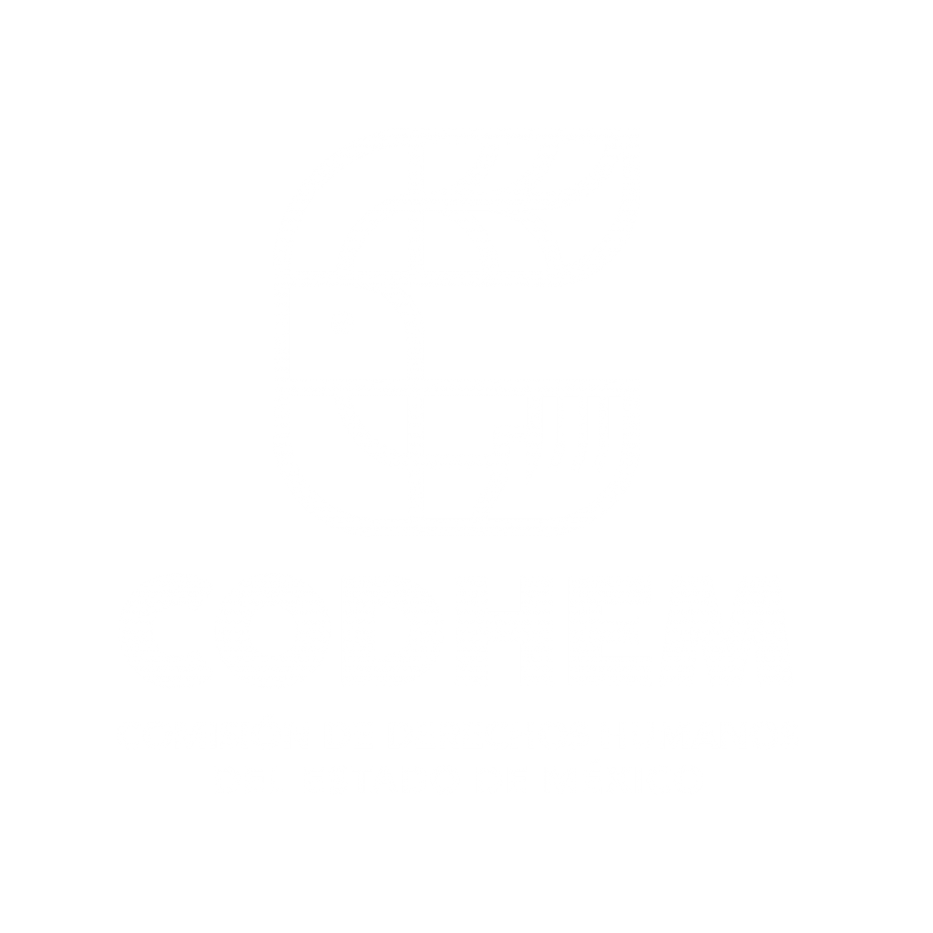 Logotipo de la CODHEM, Comisión de Derechos Humanos del Estado de México, en color blanco.