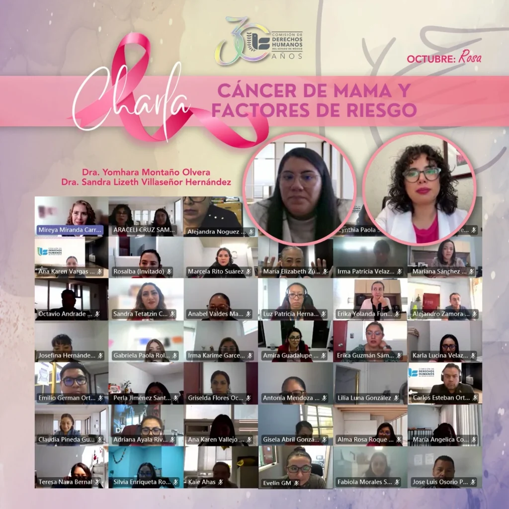 Cartel digital de una charla titulada “Cáncer de mama y factores de riesgo”, organizado en el marco de “Octubre: Rosa” por la Comisión de Derechos Humanos del Estado de México. El diseño incluye un listón rosa, los nombres de dos ponentes y una captura de pantalla de una videoconferencia con múltiples participantes en mosaico, además de dos retratos circulares destacados en la parte superior.