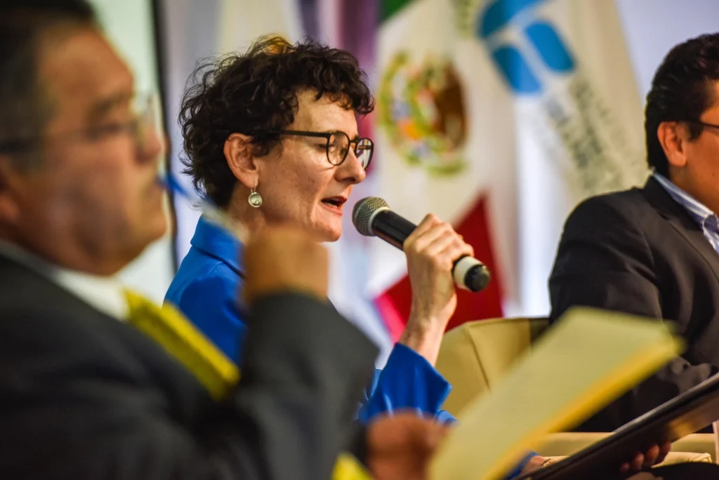 Persona participando en un panel, hablando por micrófono en primer plano mientras otras personas se observan desenfocadas, con banderas institucionales de fondo.